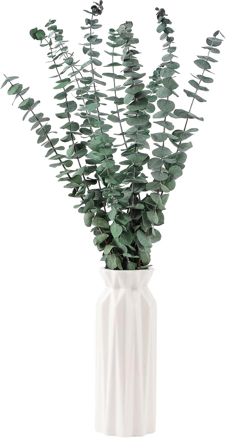 10 Pcs Dried Eucalyptus Stems 17" Real Eucalyptus for Shower Hanging 100% Made from Fresh Leaves, Wedding, Home, Farmhouse, DIY Spring Decor Bathroom Decor Home Decor - Image 2