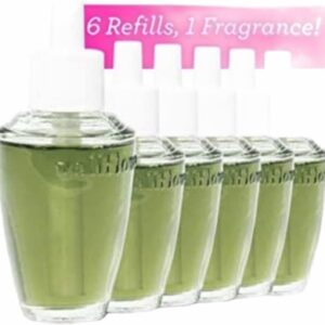 Bath and Body Works 6 Piece Pack Fresh Balsam (0.8 fl oz / 24 mL) Wallflowers Fragrance Refill