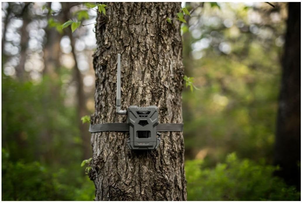 SPYPOINT Flex-M Twin Pack Cellular Trail Cameras - Best Hunting Accessories, No WiFi Needed, GPS, Night Vision, Dual-Sim LTE, IP65 Water-Resistant Game Camera, 28MP Photos, 720p Videos + Sound (2) - Image 2