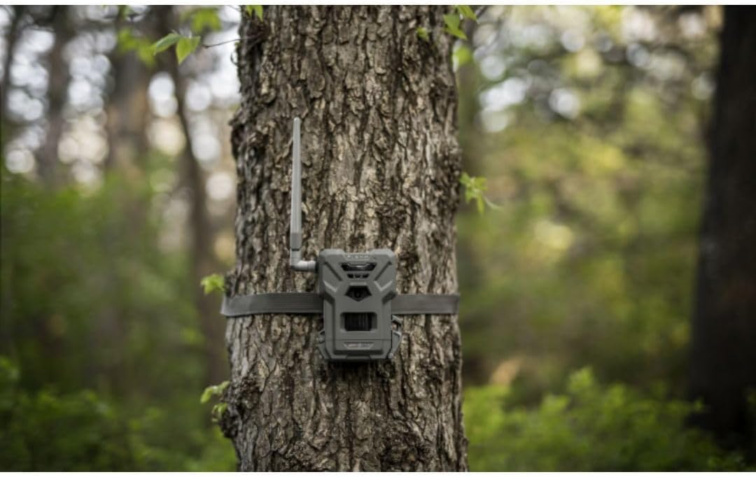 SPYPOINT Flex-M Solar Bundle - Cellular Trail Camera with Solar Panel, Best in Hunting Accessories, No WiFi Needed, GPS, Night Vision, Motion Activated, Dual-Sim LTE, IP65 Water-Resistant Game Camera - Image 2