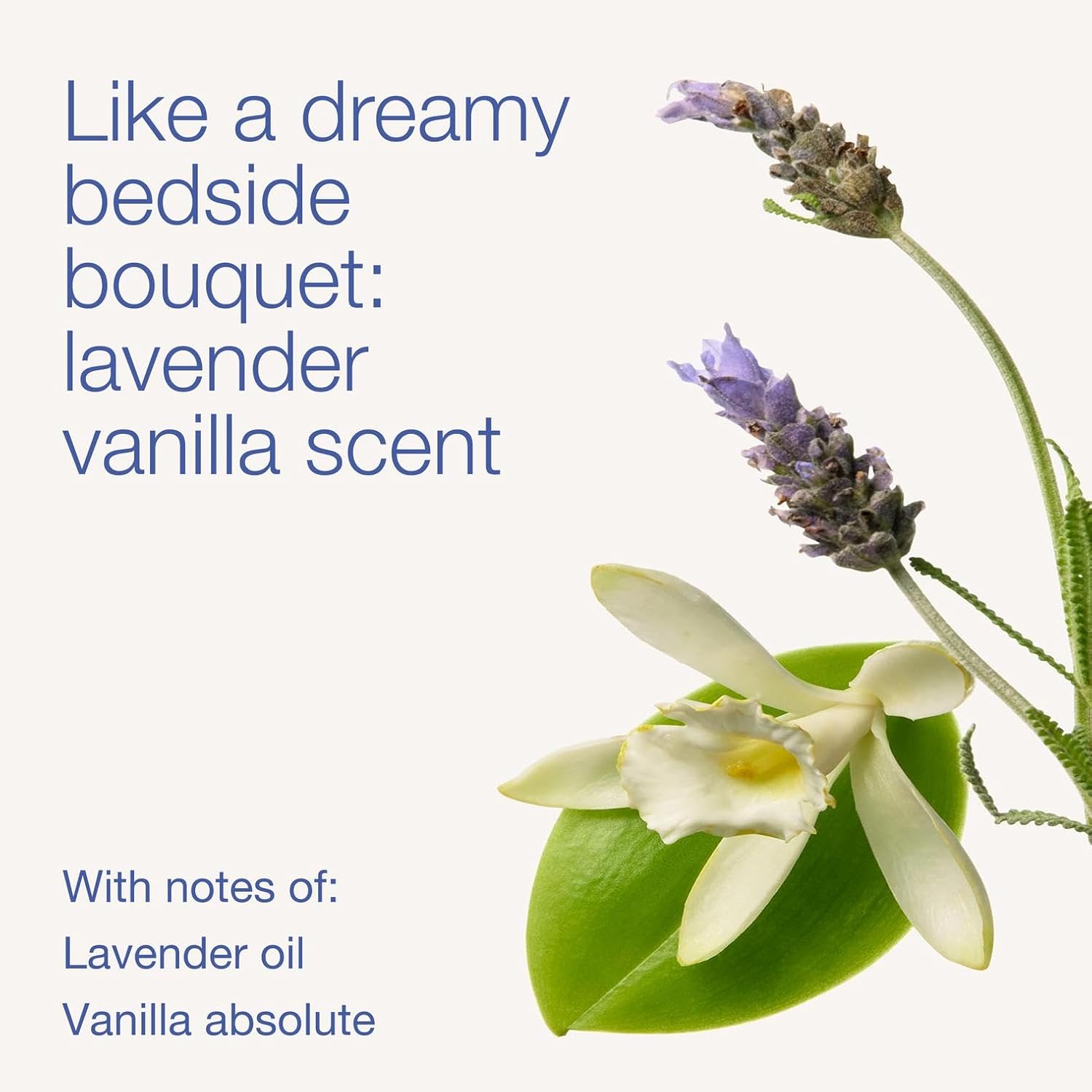 Bath & Body Works Lavender Vanilla Body Wash & Foam Bath, Aromatherapy Cleanser with Vitamin E & Aloe, Non-Drying & Gentle for Daily Use, 10 fl oz - 2 Pack - Image 3