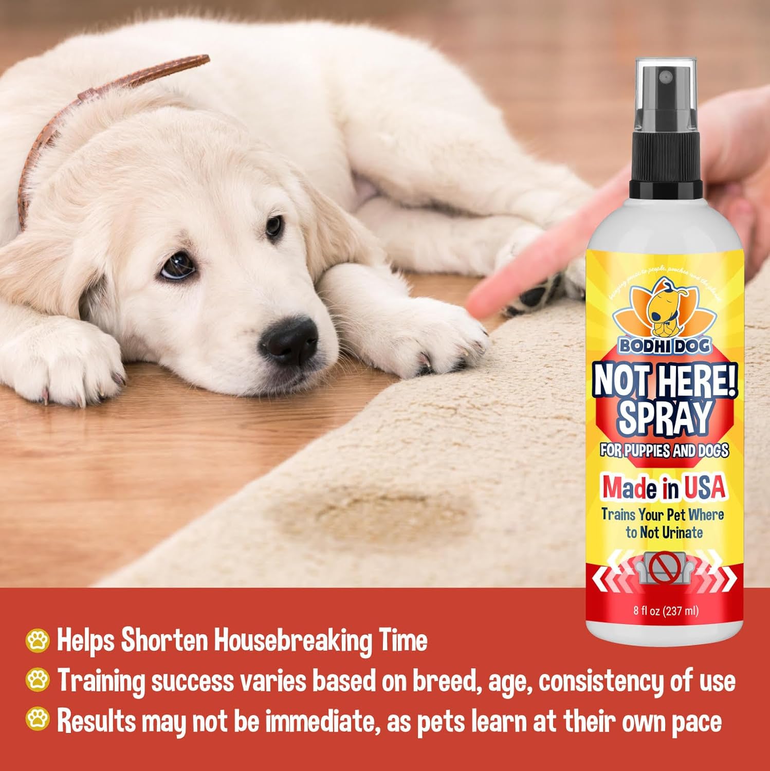 Bodhi Dog Not Here Spray - Trains Pets Where Not To Pee - Dog & Puppy Potty Training Spray to Stop Marking & Urinating Indoors or Outdoors - Safe for Furniture, Carpet & Floors - Made in USA (8 Fl Oz) - Image 2