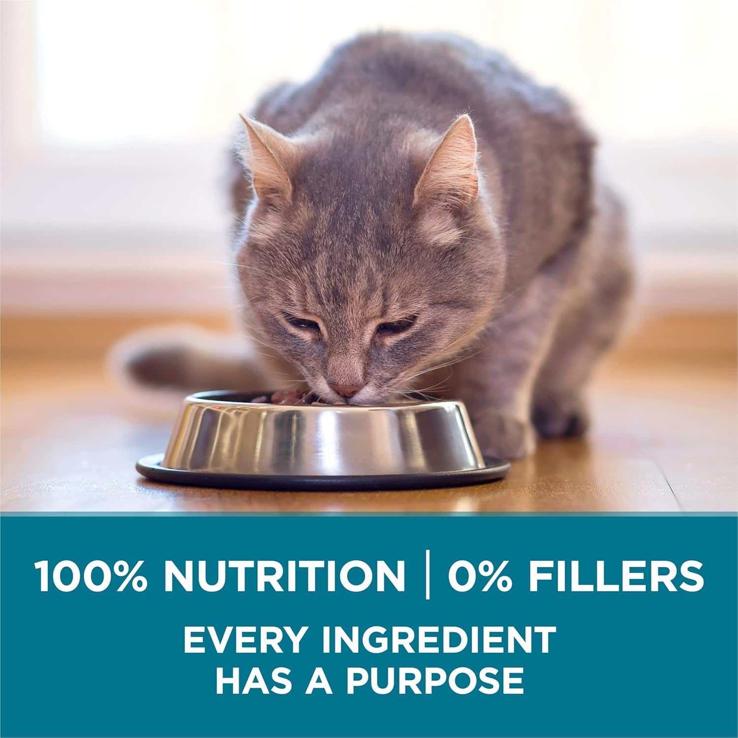 Purina ONE Natural Dry Cat Food, Tender Selects Blend With Real Salmon - 7 lb. Bag - Image 7