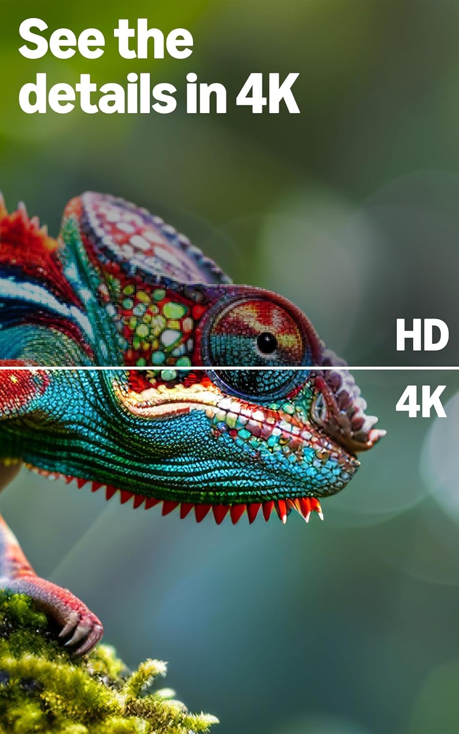 Amazon Ember 50" 4-Series with Fire TV (newest model), 4K Ultra HD smart TV with Alexa Remote, HDR10+, fast processor, Dolby Audio, Ambient Experience, free and live TV - Image 5