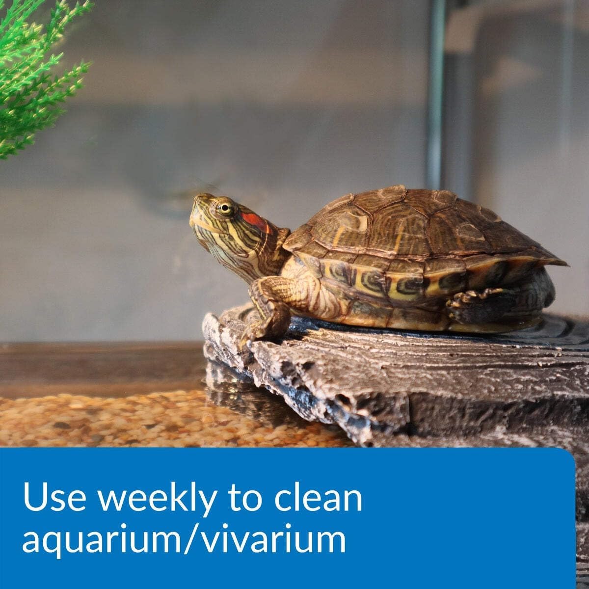 API TURTLE SLUDGE DESTROYER Aquarium Cleaner and Sludge Remover Treatment 8-Ounce Bottle - Image 3