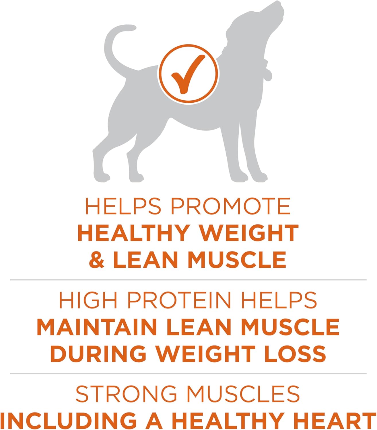Purina One +Plus Dry Dog Food High Protein Healthy Weight, Real Turkey - 40 lb Bag - Image 3