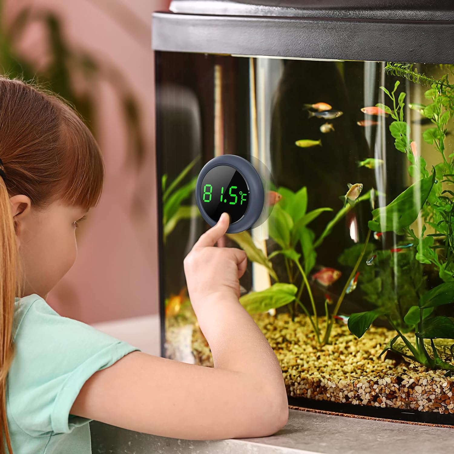 PAIZOO Fish Tank Digital Thermometer Accurate LED Display to ±0.9°F Tank Thermometer Aquarium Temperature Measurement Suitable for Fish, Axolotl, Turtle or Aquatic - Image 2