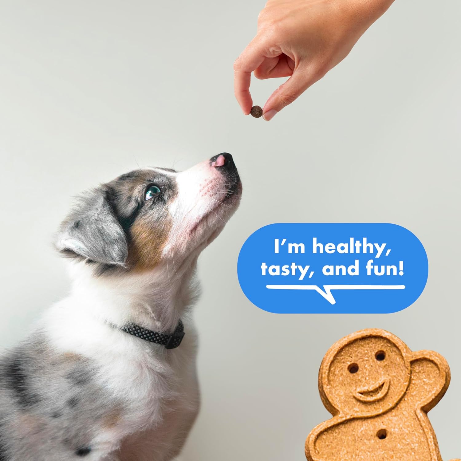 Buddy Biscuits Trainers 10 Oz. Pouch of Training Bites Soft & Chewy Dog Treats Made with Bacon Flavor - Image 4