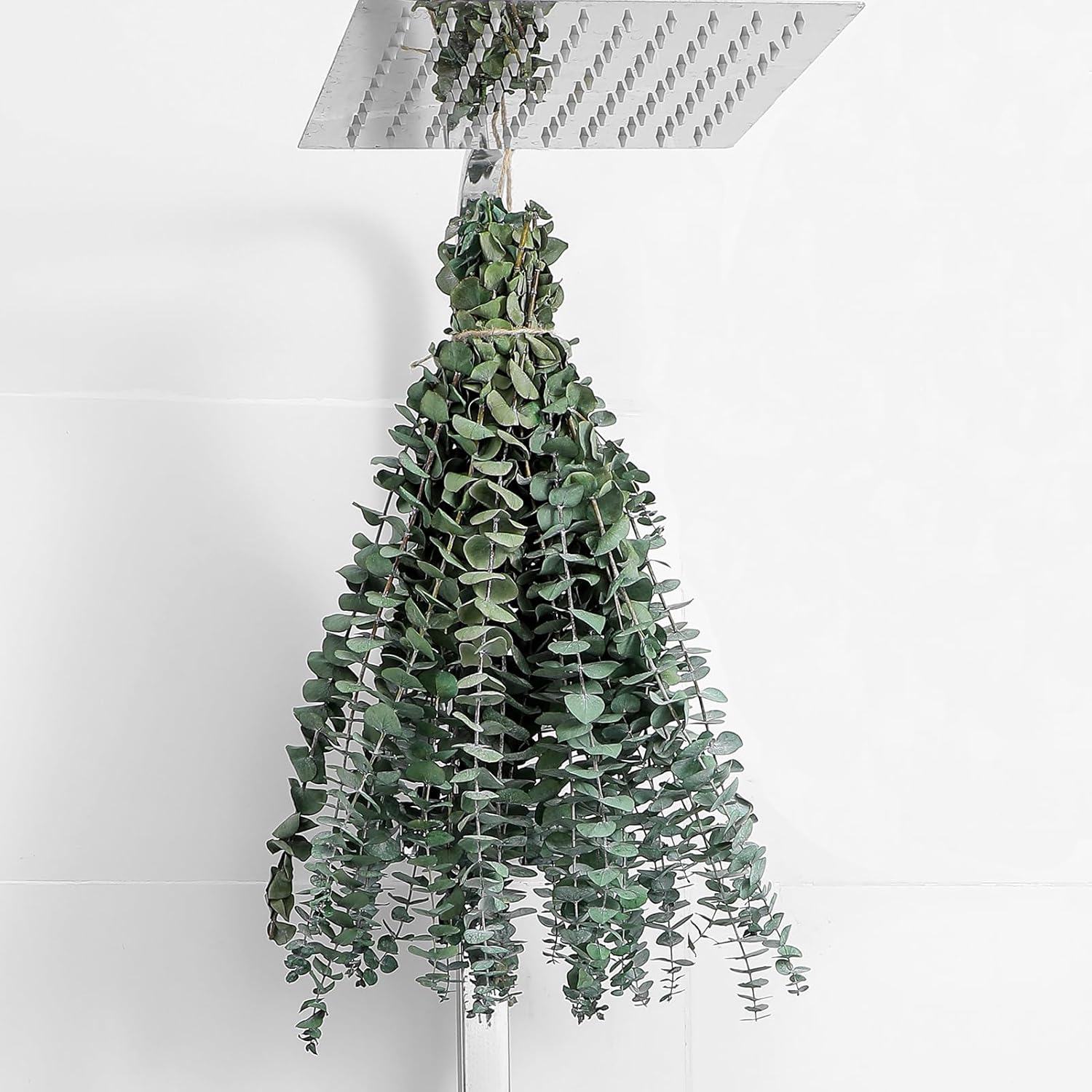 10 Pcs Dried Eucalyptus Stems 17" Real Eucalyptus for Shower Hanging 100% Made from Fresh Leaves, Wedding, Home, Farmhouse, DIY Spring Decor Bathroom Decor Home Decor