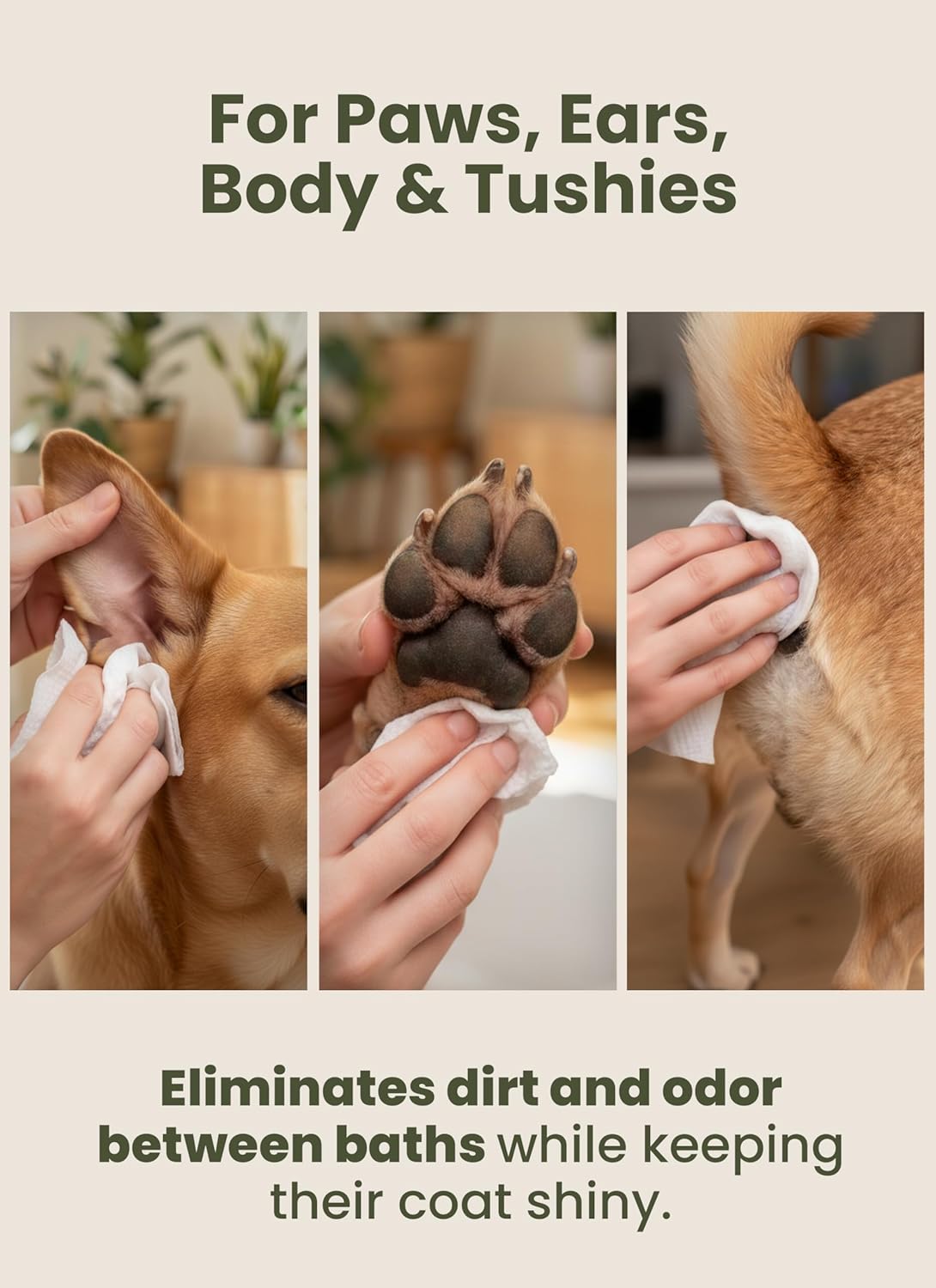 Pogi’s Dog Grooming Wipes – Hypoallergenic Pet Wipes for Paws, Body & Butt – Cleaning & Hydrating, Fragrance Free, 400-Count - Image 7