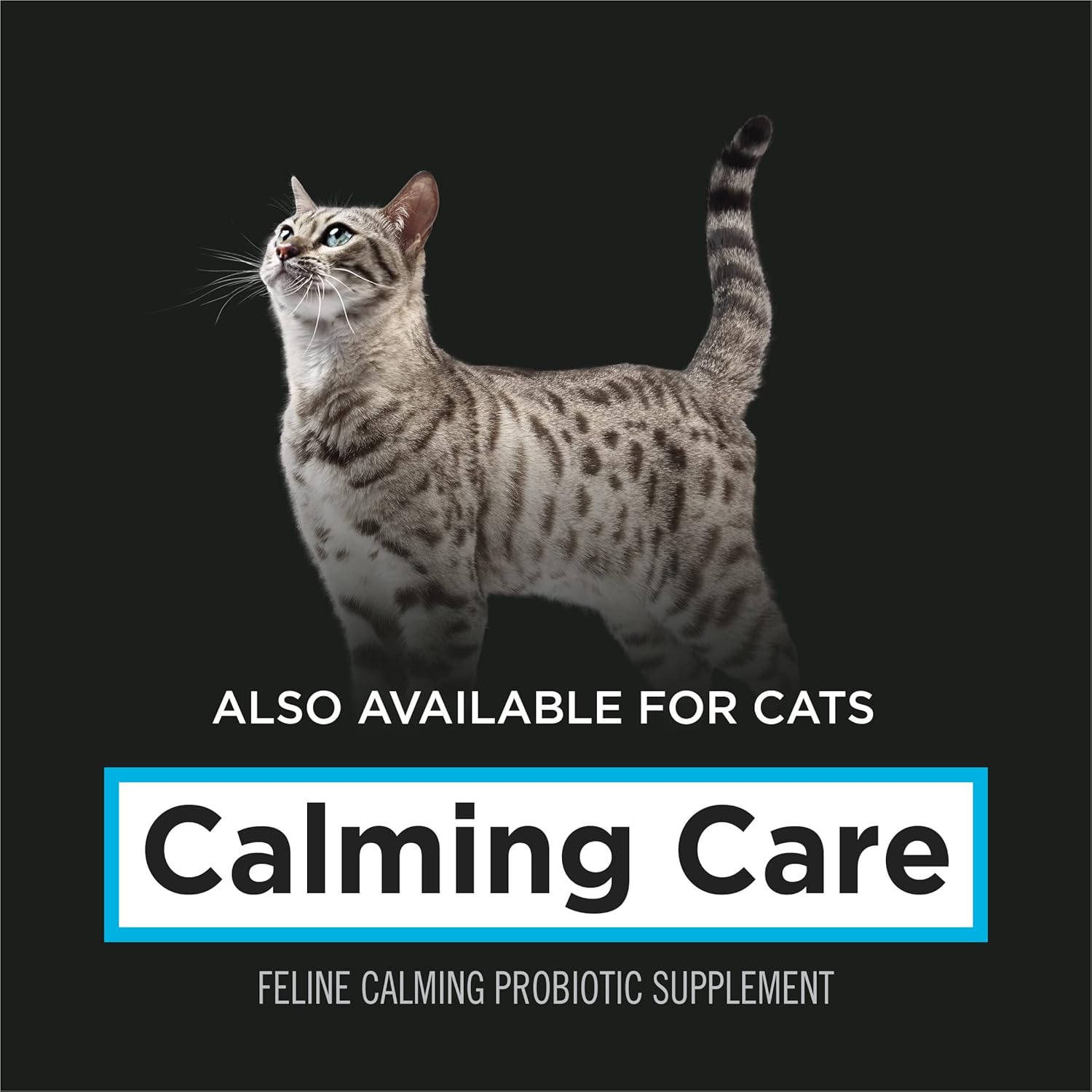 Purina Pro Plan Veterinary Supplements Calming Care - Calming Dog Supplements - 30 ct. Boxes - Image 8