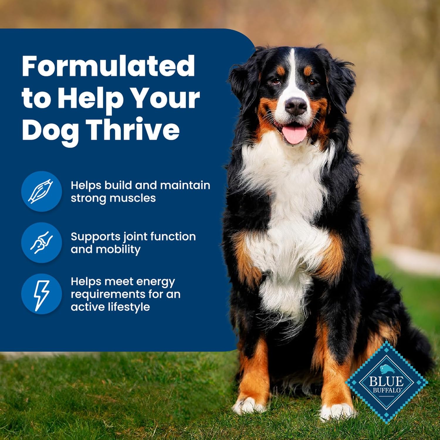 Blue Buffalo Life Protection Formula Adult Dry Dog Food, Helps Build and Maintain Strong Muscles, Made with Natural Ingredients, Chicken & Brown Rice Recipe, 15-lb. Bag - Image 4