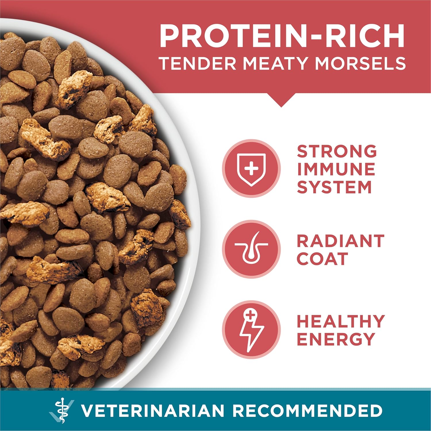 Purina ONE Natural Dry Cat Food, Tender Selects Blend With Real Salmon - 7 lb. Bag - Image 6