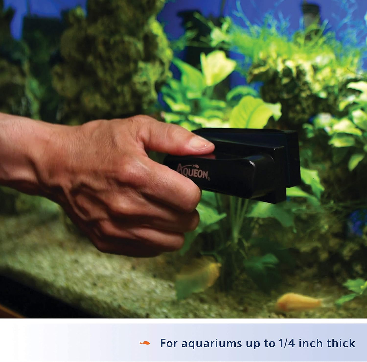 Aqueon Aquarium Algae Scraper, Fish Tank Cleaning Magnets for Glass/Acrylic, Small, Black - Image 6