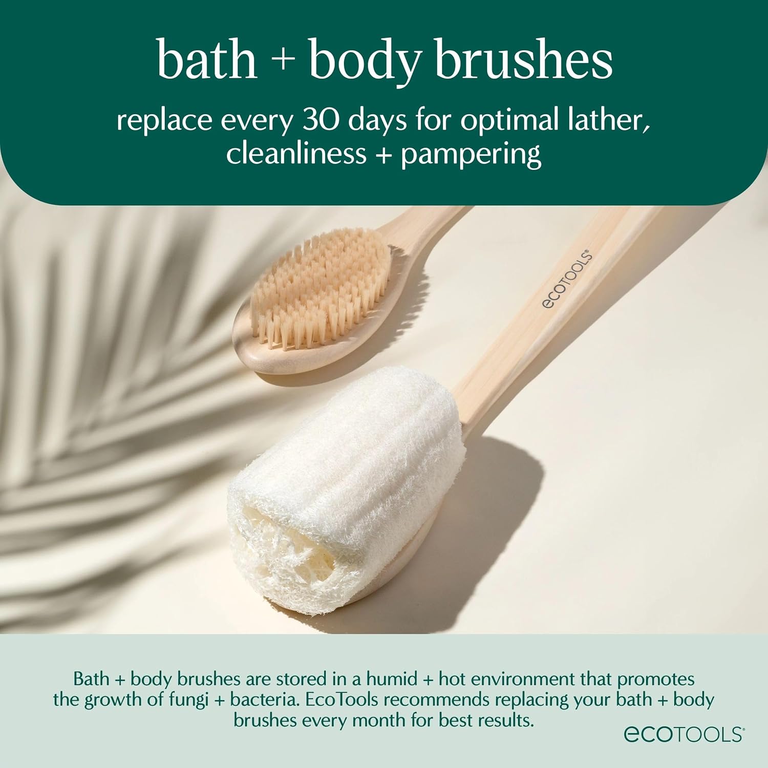 EcoTools Dry Body Brush, Cruelty-Free Bristles Exfoliate & Smooth Skin, Dry Brushing Removes Flaky Skin, May Help Improve Circulation & Tone, Eco-Friendly Skincare Tool, Vegan & Cruelty-Free, 1 Count - Image 8