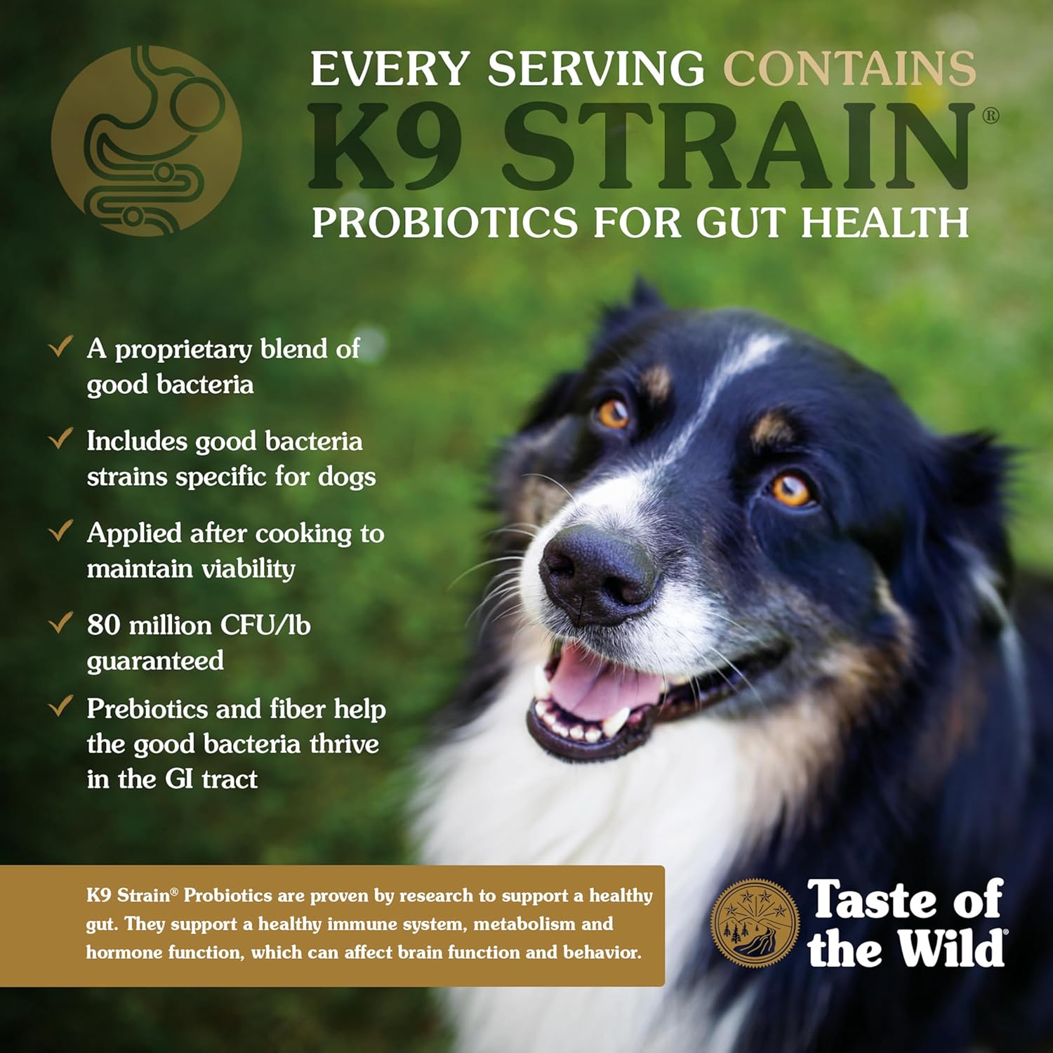 Taste of the Wild High Prairie Canine Grain-Free Recipe with Roasted Bison and Venison Adult Dry Dog Food, Made with High Protein from Real Meat and Guaranteed Nutrients and Probiotics 28lb - Image 6
