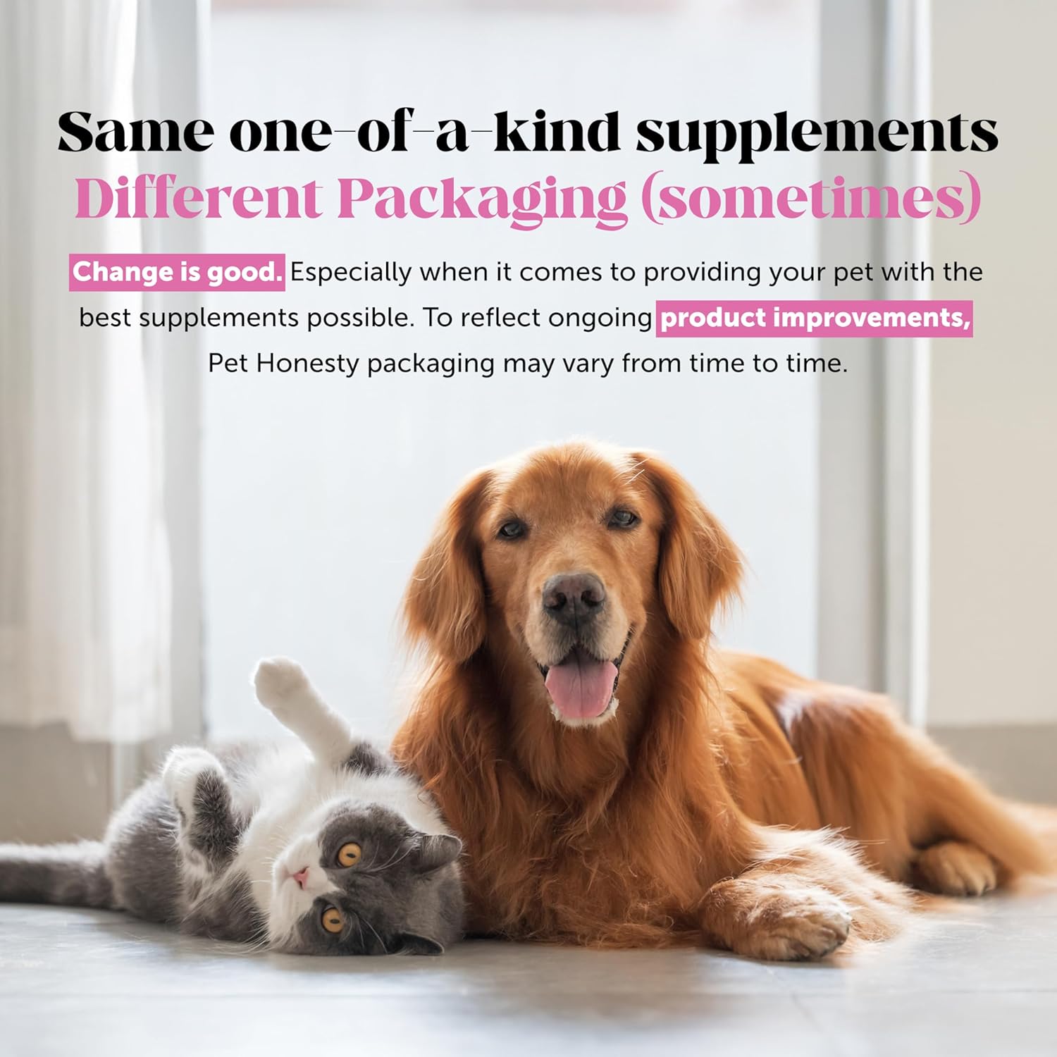 Senior Hemp Hip and Joint Supplement for Dogs - Glucosamine Chondroitin, MSM & Green Lipped Mussel - Relief for Joint Stiffness, Advanced Strength Mobility Support for Senior Dogs (Chicken, 90 Ct) - Image 9