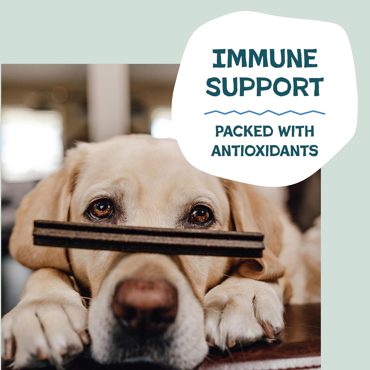 Shameless Pets Blueberry & Mint Dental Chews for Dogs, 8 Chews - Natural Dog Teeth Cleaning Treats with Fresh Breath Benefits | Grain-Free Dental Sticks for Small, Medium & Large Dogs - Image 5