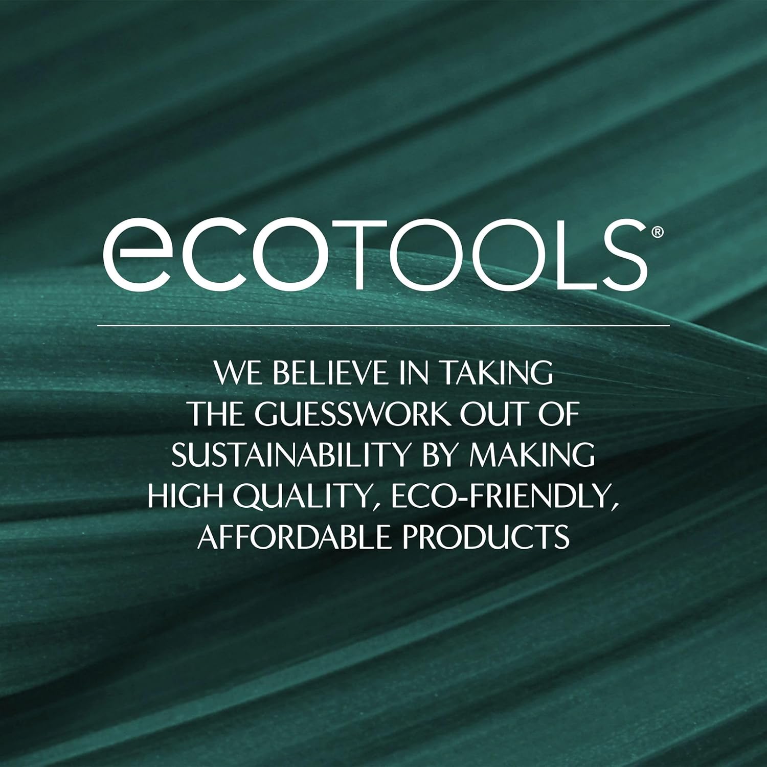 EcoTools Dry Body Brush, Cruelty-Free Bristles Exfoliate & Smooth Skin, Dry Brushing Removes Flaky Skin, May Help Improve Circulation & Tone, Eco-Friendly Skincare Tool, Vegan & Cruelty-Free, 1 Count - Image 10