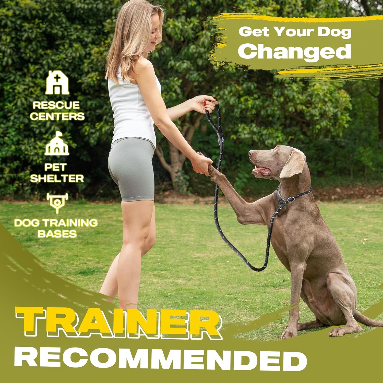 Fida Durable Slip Lead Dog Leash, 6 FT x 1/2" Heavy Duty Dog Loop Leashes, Comfortable Strong Rope Slip Leash for Large Medium Dogs, No Pull Pet Training Lead with Highly Reflective(1/2", Black) - Image 4