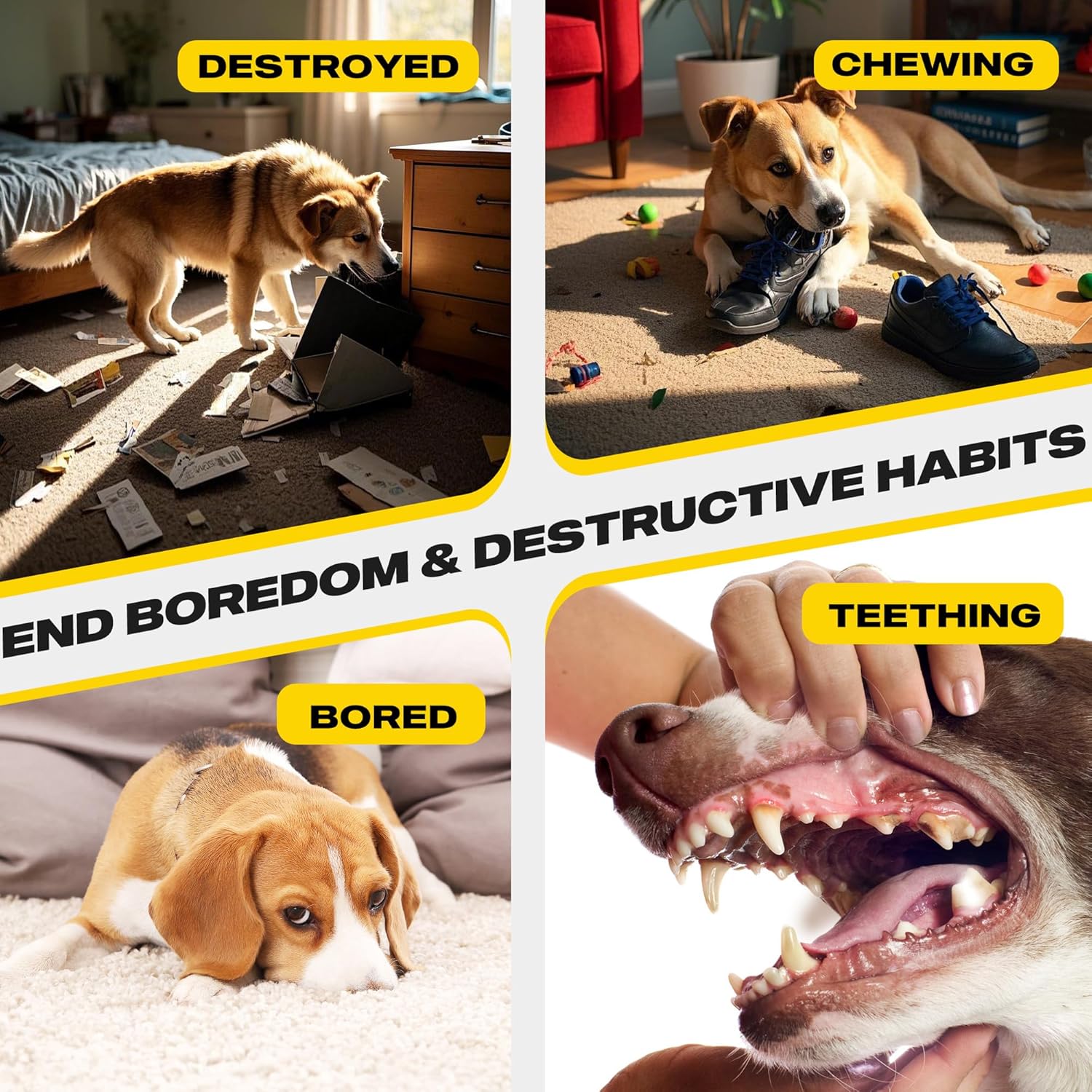 Fida Heavy Duty Dog Rope Toys for Aggressive Chewers 4pcs Pack – Natural Cotton Dog Chew Toys for Large Dogs, Tug-of-War & Fetch Rope Ball/Ring/Knot/Twist to Keep Them Busy - Image 6