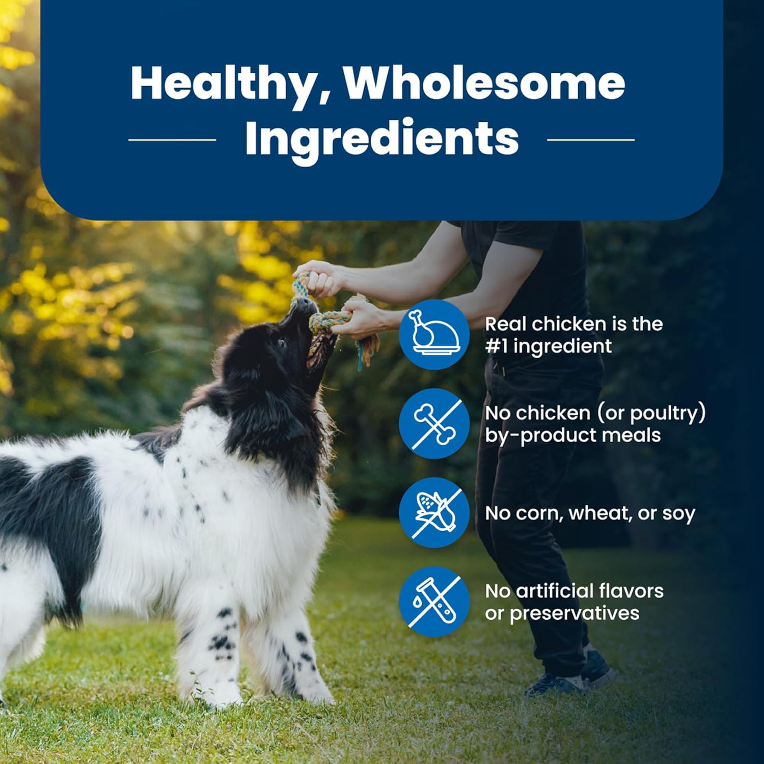 Blue Buffalo Life Protection Formula Adult Dry Dog Food, Helps Build and Maintain Strong Muscles, Made with Natural Ingredients, Chicken & Brown Rice Recipe, 15-lb. Bag - Image 6