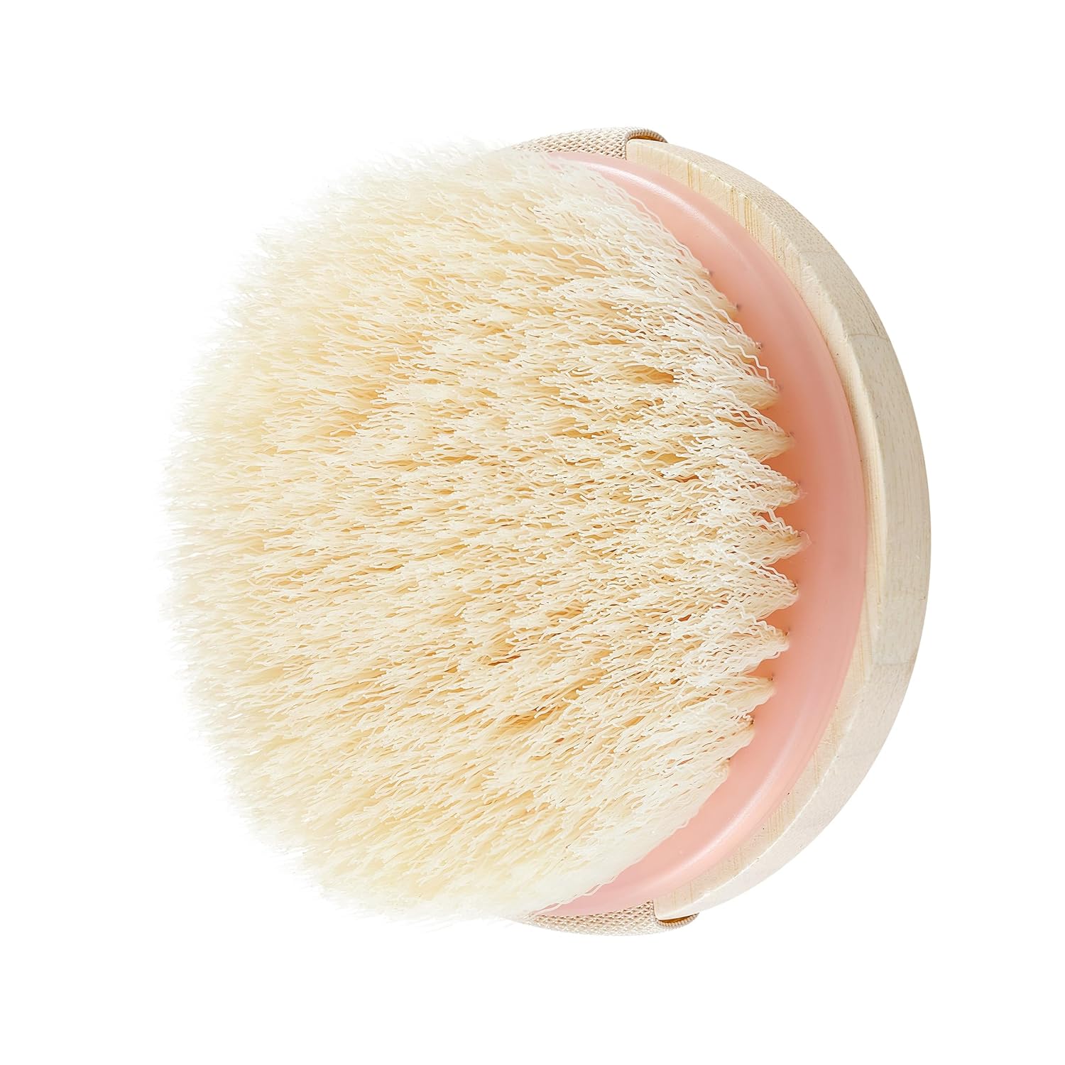EcoTools Dry Body Brush, Cruelty-Free Bristles Exfoliate & Smooth Skin, Dry Brushing Removes Flaky Skin, May Help Improve Circulation & Tone, Eco-Friendly Skincare Tool, Vegan & Cruelty-Free, 1 Count - Image 11