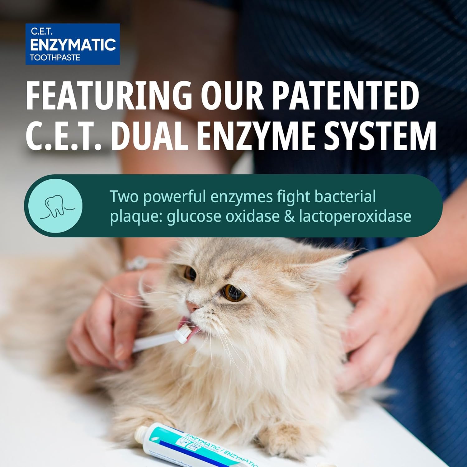 Virbac C.E.T.® Enzymatic Toothpaste| Tartar & Plaque Control for Fresh Breath | Pet Dental Care Toothpaste | Poultry Flavor, 2.5 oz - Image 3