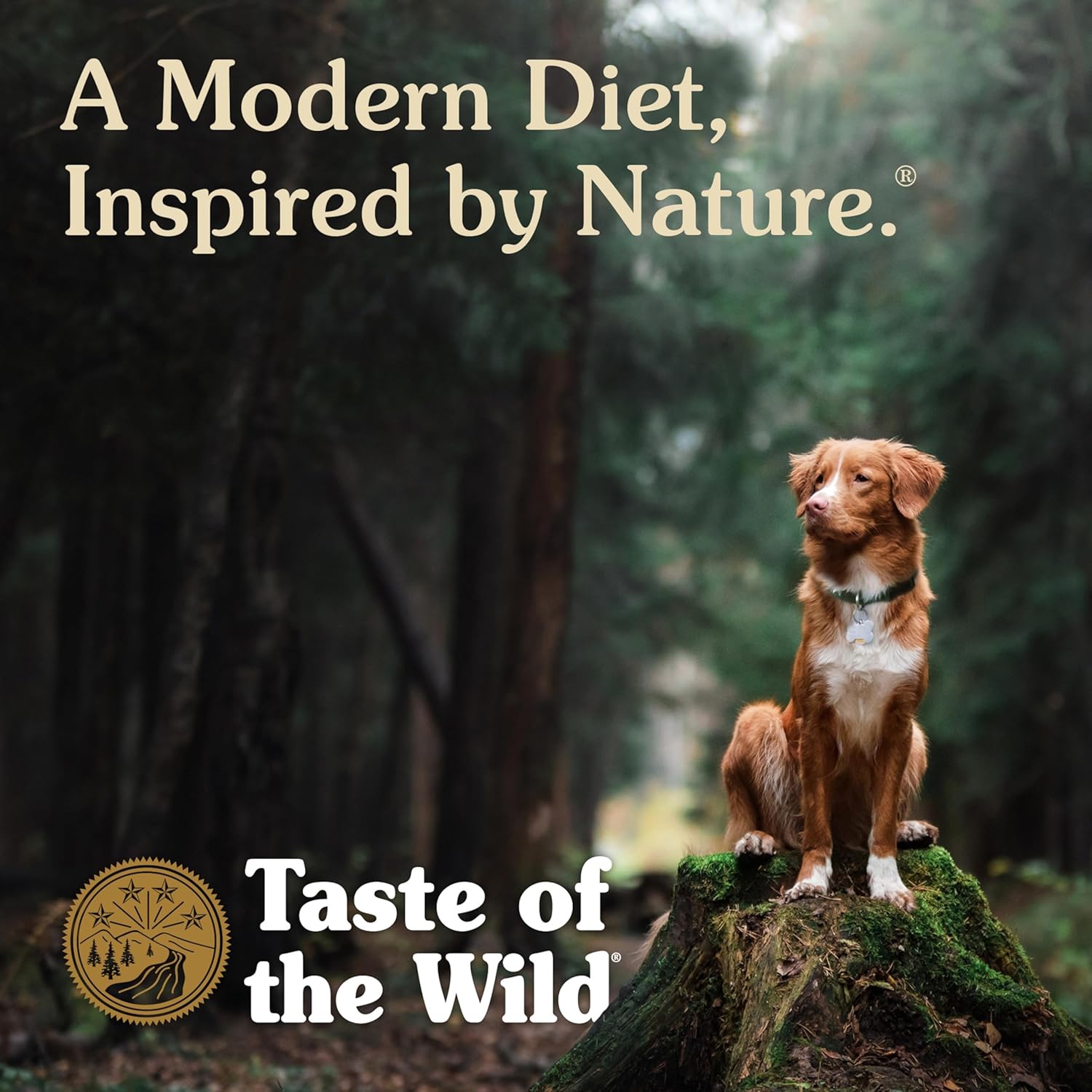 Taste of the Wild High Prairie Canine Grain-Free Recipe with Roasted Bison and Venison Adult Dry Dog Food, Made with High Protein from Real Meat and Guaranteed Nutrients and Probiotics 28lb - Image 7