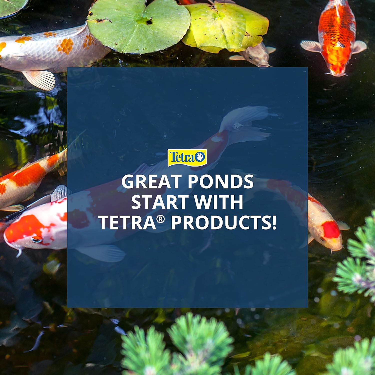 TetraFauna ReptoGuard Turtle Health Conditioner 3 Count, Slow-Release (19514) - Image 7