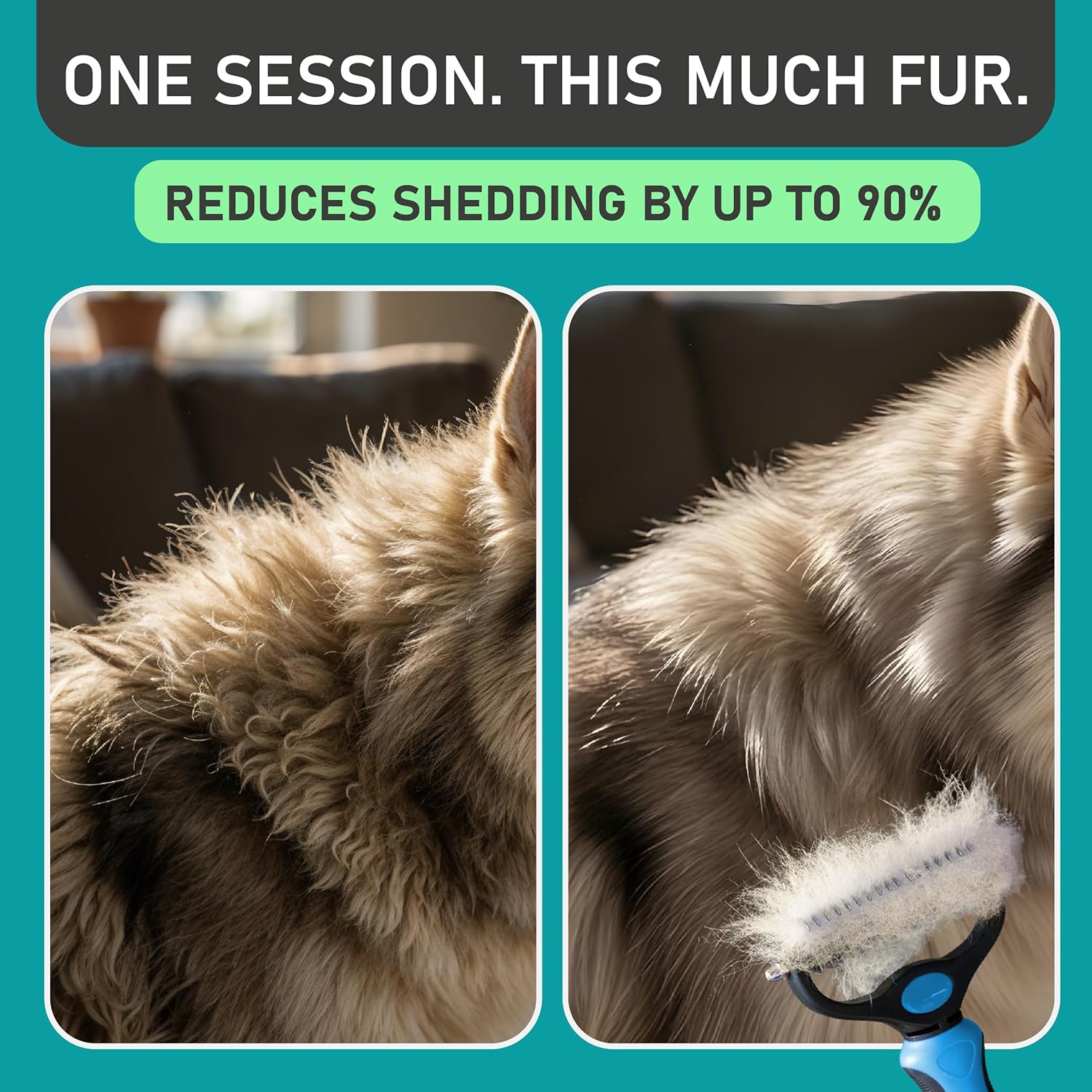 Maxpower Planet Original Pet Grooming Rake - Double-Sided Deshedding Dematting Tool, Undercoat Rake for Dogs & Cats, Extra-Wide Dog Grooming Brush & Deshedder Comb for Long Hair, Reduces Shedding 95% - Image 4