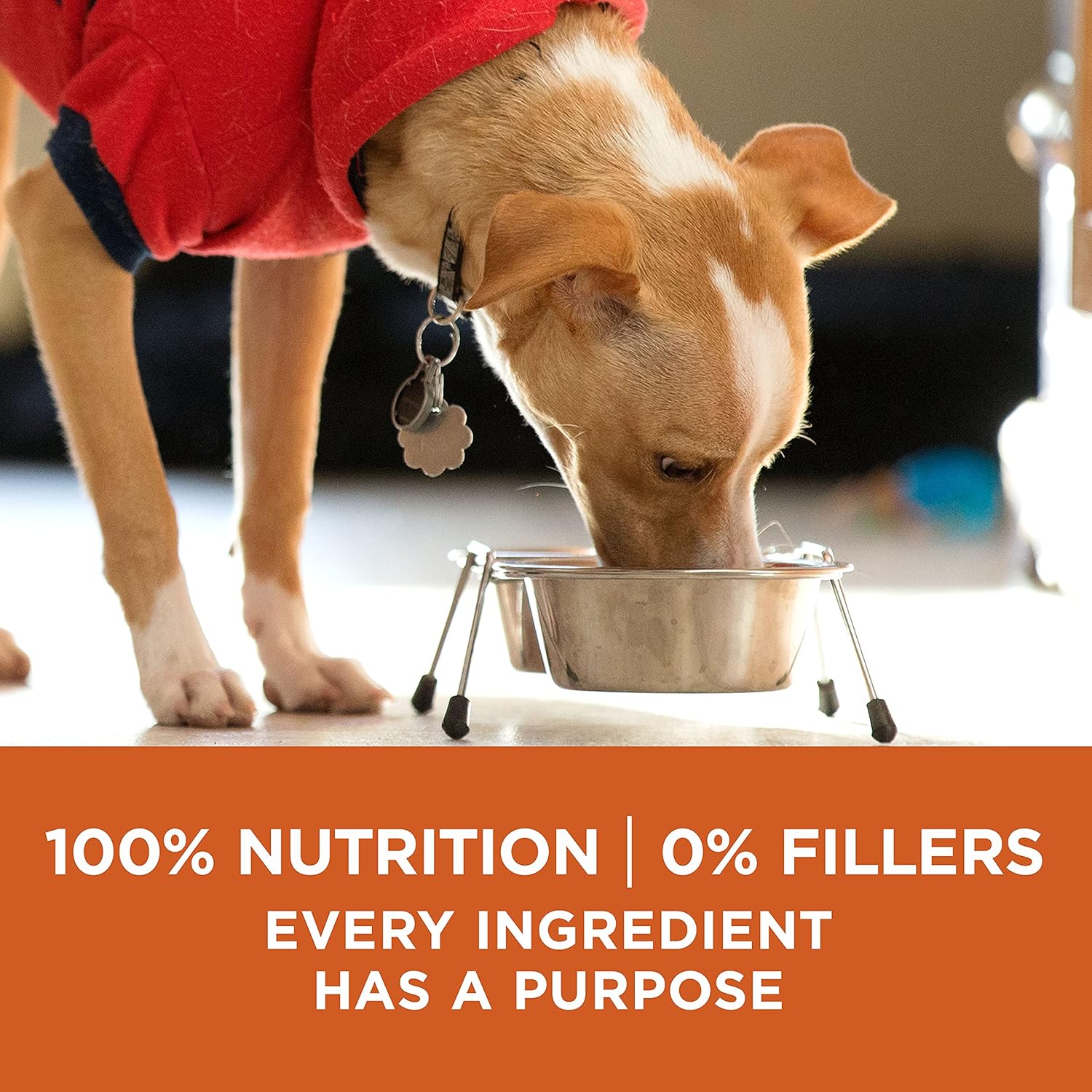 Purina One +Plus Dry Dog Food High Protein Healthy Weight, Real Turkey - 40 lb Bag - Image 7