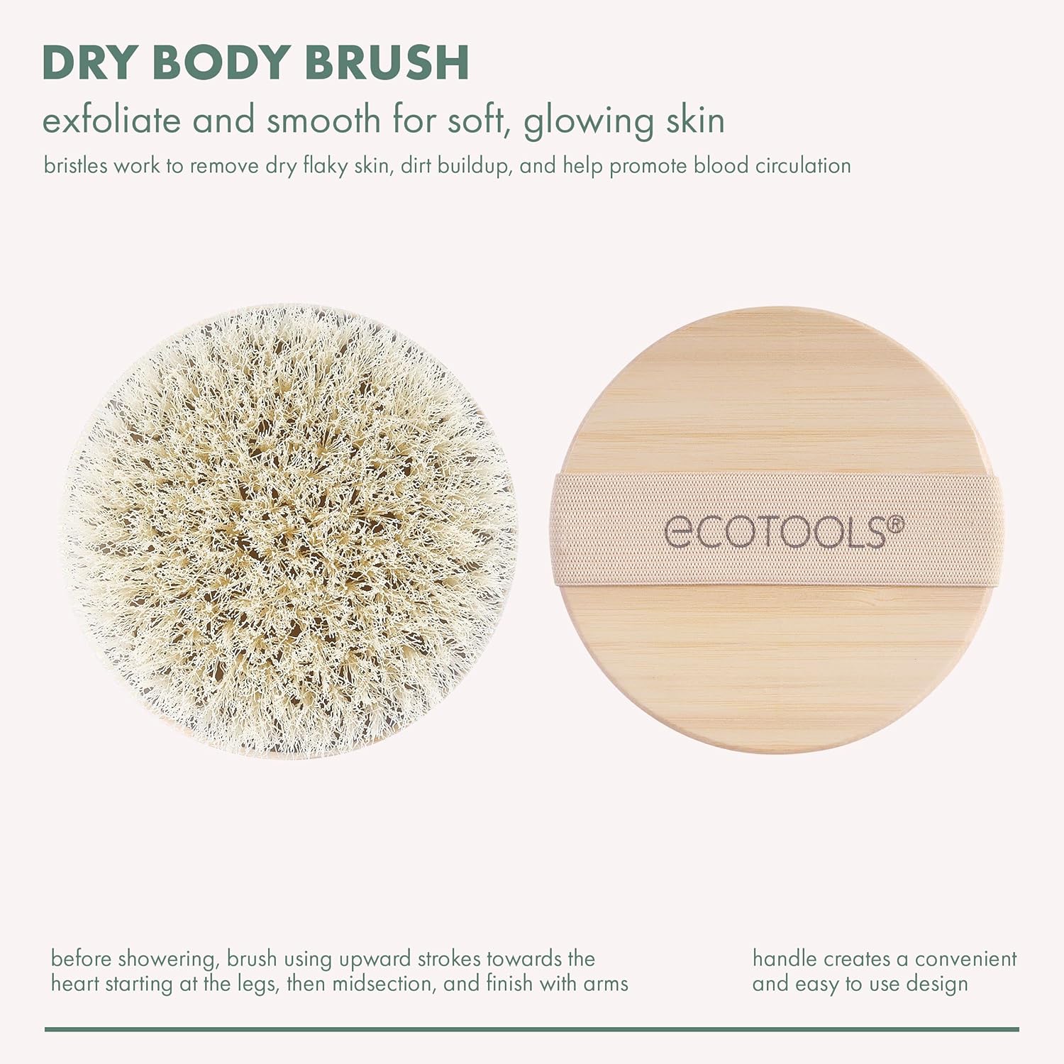 EcoTools Dry Body Brush, Cruelty-Free Bristles Exfoliate & Smooth Skin, Dry Brushing Removes Flaky Skin, May Help Improve Circulation & Tone, Eco-Friendly Skincare Tool, Vegan & Cruelty-Free, 1 Count - Image 2