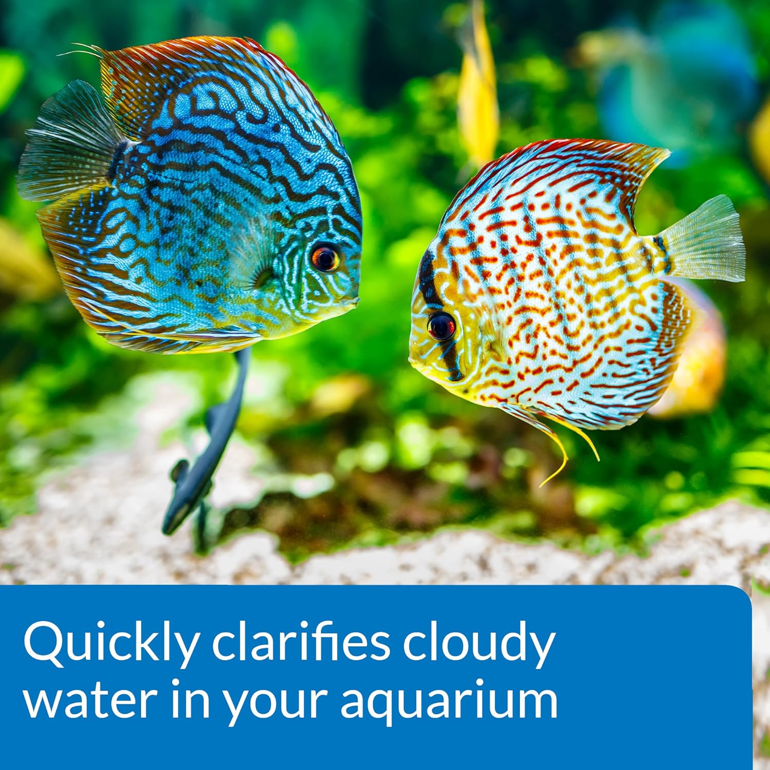 API ACCU-CLEAR Freshwater Aquarium Water Clarifier 8-Ounce Bottle - Image 5