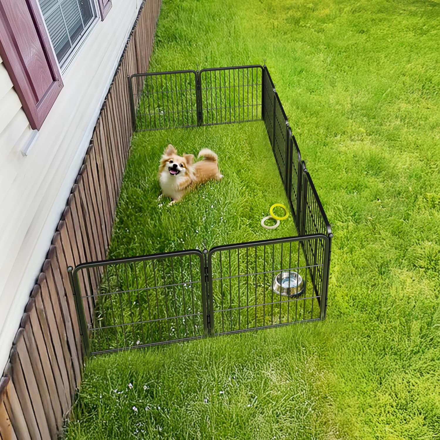 FXW Rollick Unleashed Dog Playpen for Indoor, Yard, RV Camping, 24 inch 8 Panels for Small and Puppy Dogs, Black│Patented - Image 6