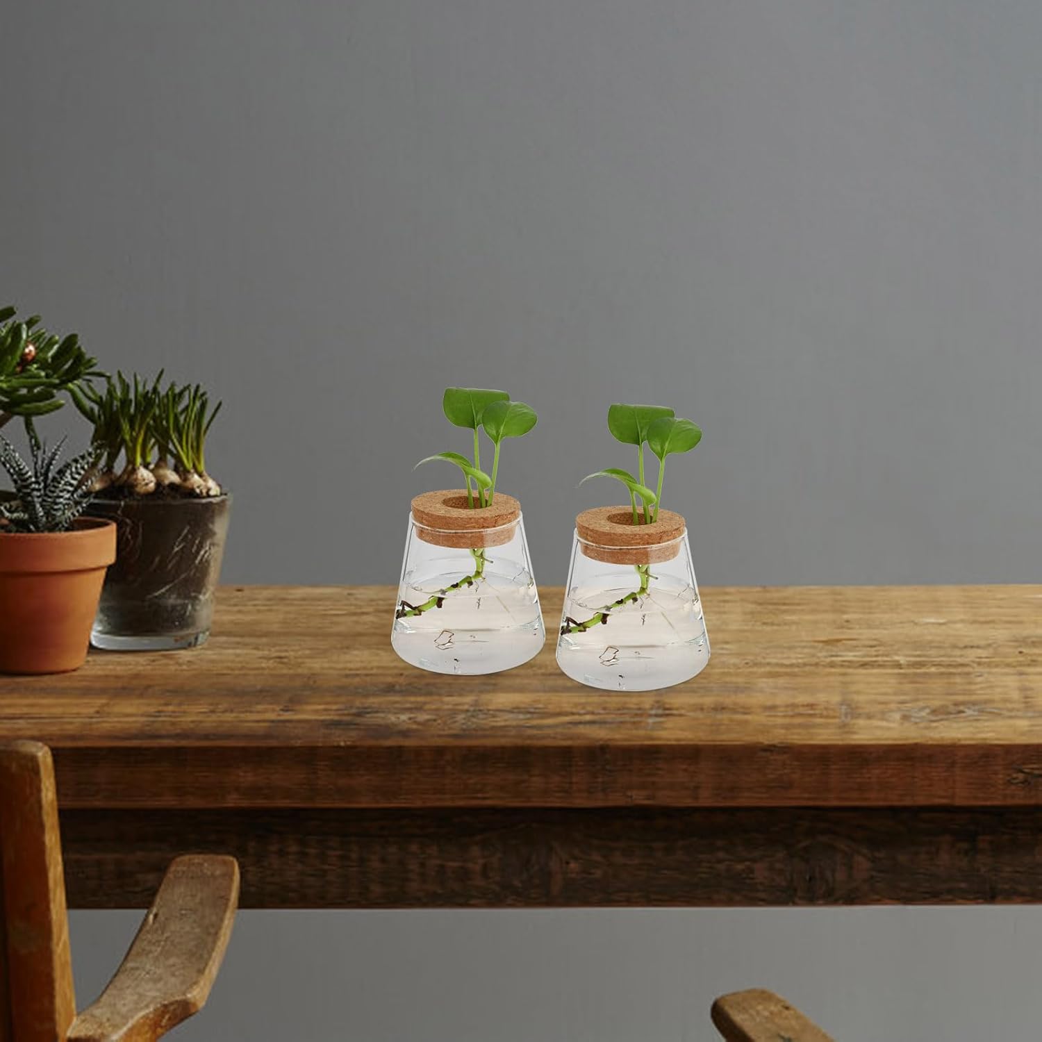 Aquatic Plant Transparent for Indoor/Outdoor Imitation Glass Flower Planter Garden Supplies Home Decor Hydroponic Flowerpot - Image 2
