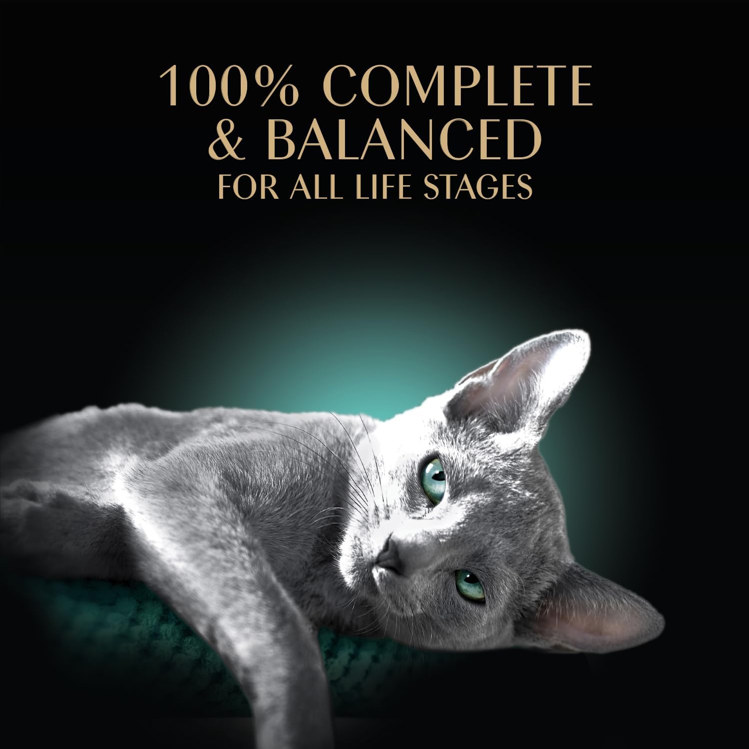 Sheba Perfect Portions Wet Cat Food Cuts in Gravy, Cat Food Wet Recipe, Roasted Chicken Entree, with Sustainable Salmon, Tender Turkey Entree, 2.6 oz. Twin-Pack Trays (24 Count, 48 Servings) - Image 4