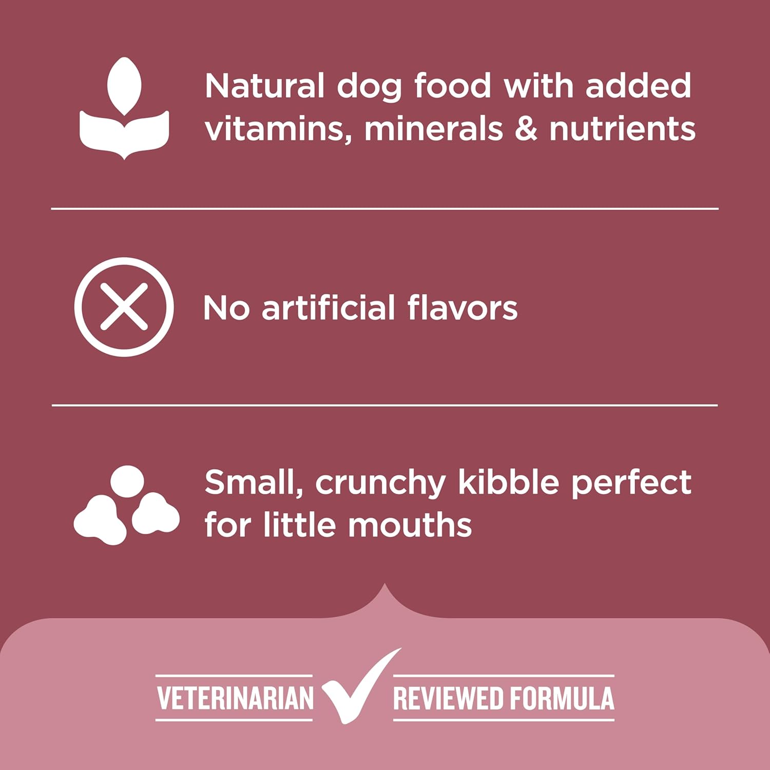 Nutrish Rachael Ray Dry Dog Food Small Breed Real Chicken & Veggies Recipe, 5 lb. Bag - Image 5