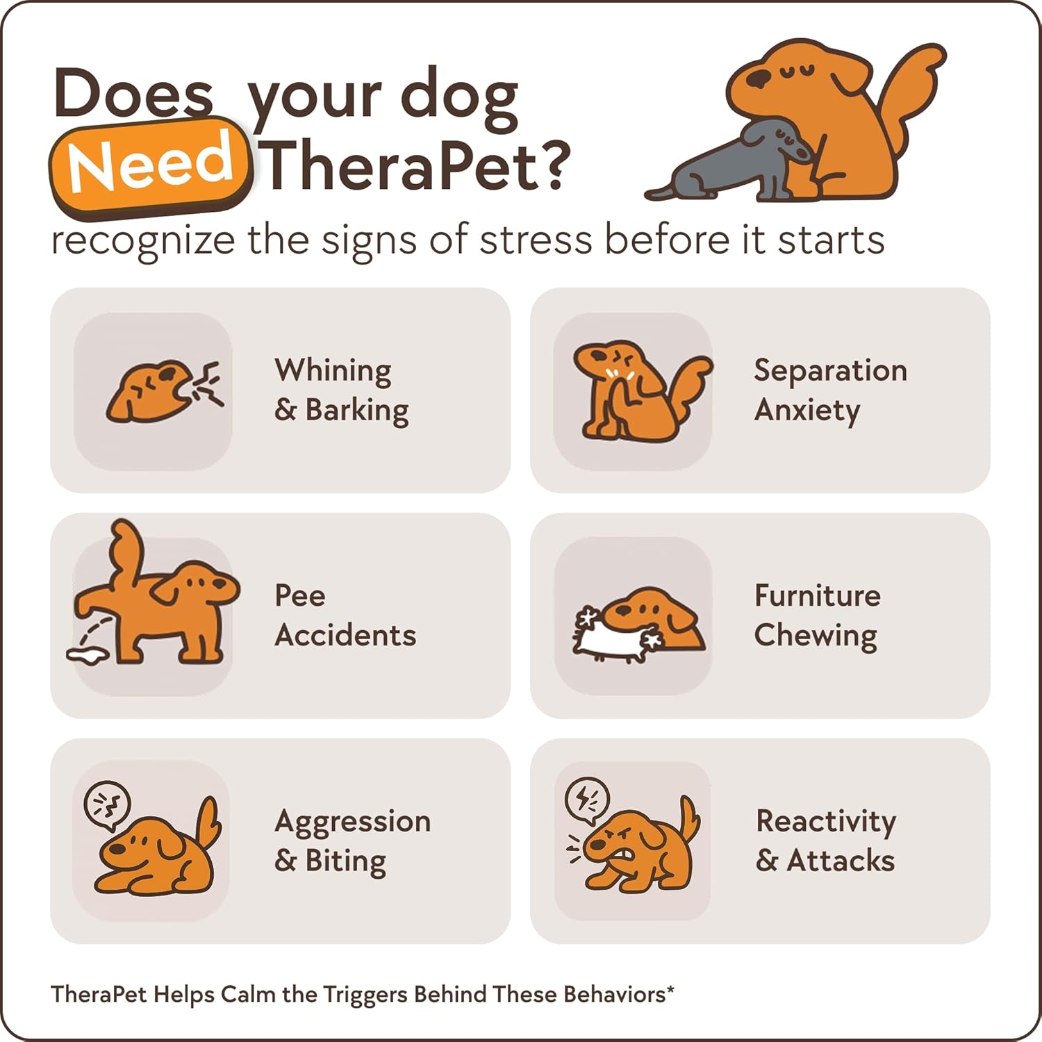 TheraPet MD 60-Day Dog Calming Diffuser Kit - Dog Pheromone Diffuser for Stress, Destructive Behavior, Pee Accidents, Separation Anxiety, Barking, Aggression & Chewing - 60-Day Refills Included - Image 3