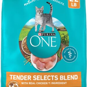 Purina ONE Natural Dry Cat Food, Tender Selects Blend With Real Chicken – 22 lb. Bag