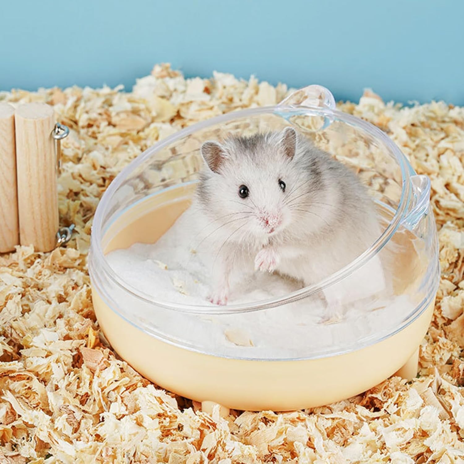 Meow&Woof Hamster Sand Bath Container, Large Sandbox Toilet Gerbil Batheoom, Tiny Chinchilla Dust Bathtub Sand Bath Box for Hamster Cage Accessories 6.5 Inch - Blue - Image 8