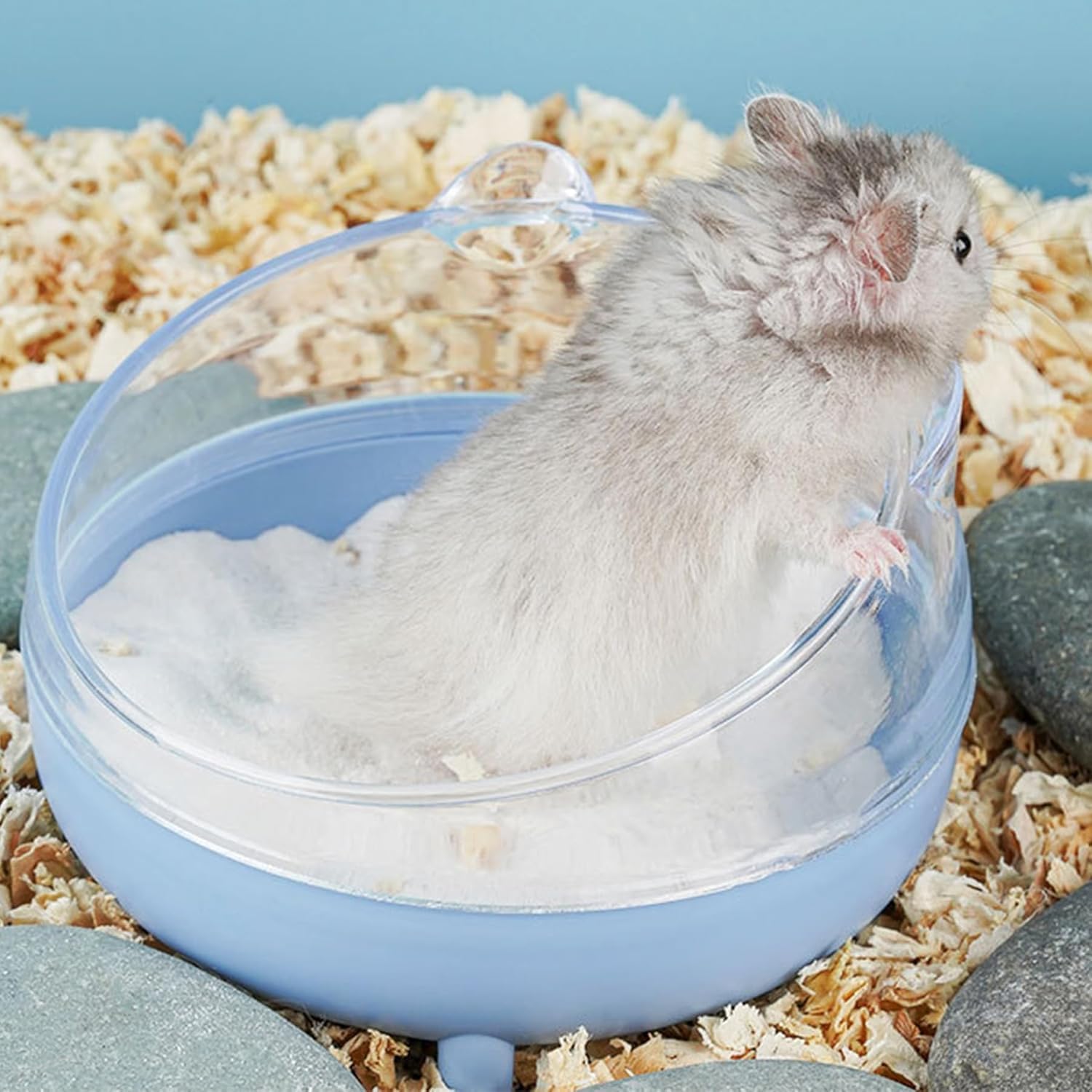 Meow&Woof Hamster Sand Bath Container, Large Sandbox Toilet Gerbil Batheoom, Tiny Chinchilla Dust Bathtub Sand Bath Box for Hamster Cage Accessories 6.5 Inch - Blue - Image 3