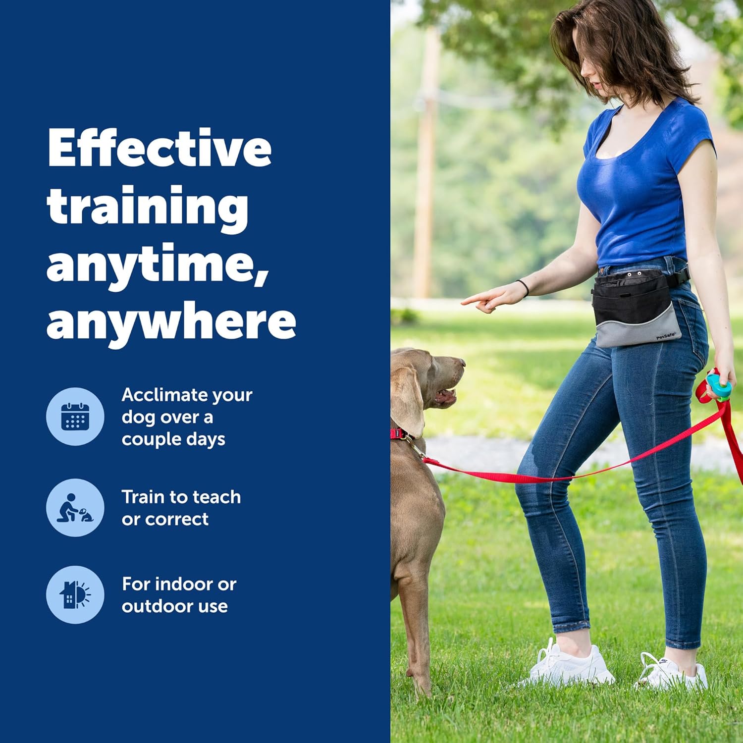 PetSafe Clik-R Training Tool - Positive Behavior Reinforcement - Ergonomic Design - Compact Finger Band - Daily Training Accessory - Clicker for Dogs & Cats - Teal - Image 5