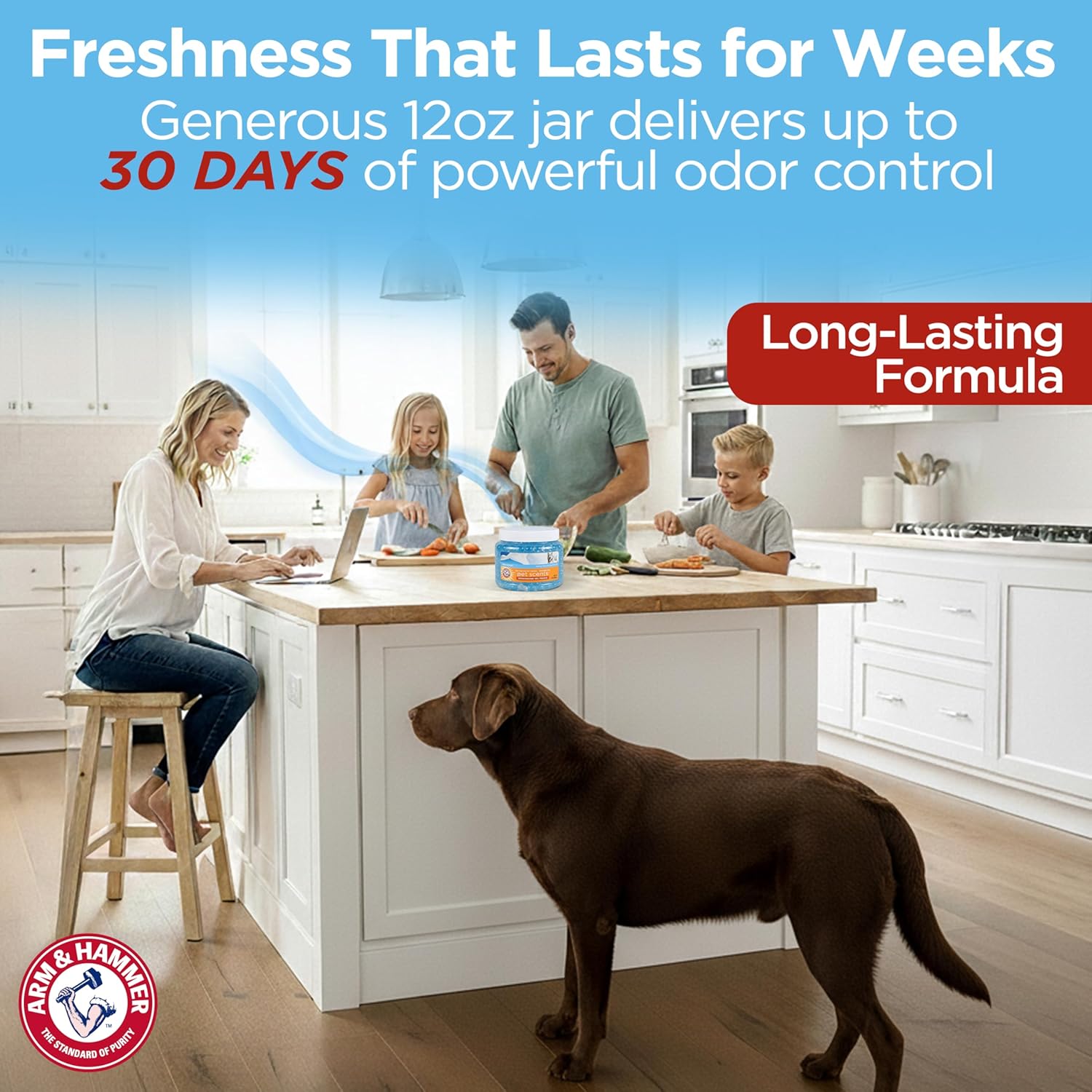Arm & Hammer for Pets Air Care Pet Scents Deodorizing Gel Beads, Pet Odor Eliminator for Rooms Closets and Small Spaces with Long Lasting Odor Control, Fresh Breeze Scent, 12 oz - Image 9