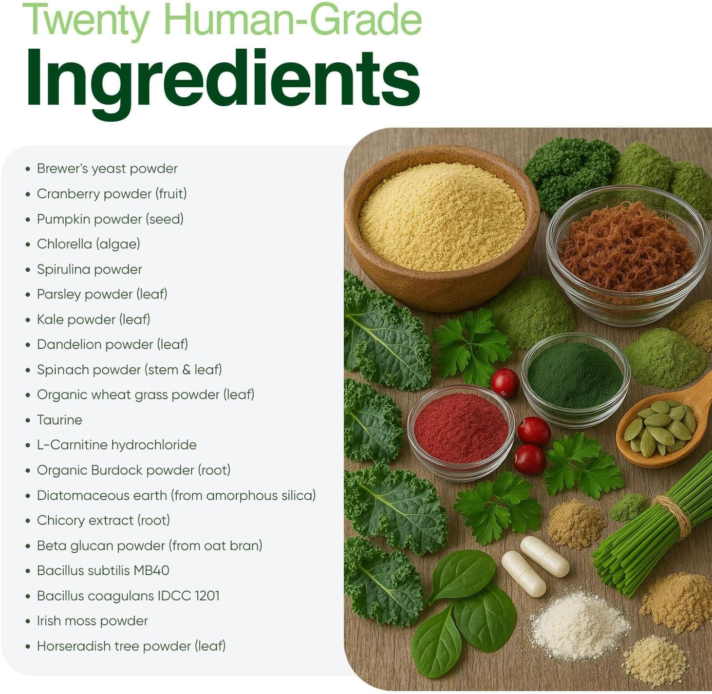 Human-Grade Superfood For Dogs, Premium Greens Powder Supplement For Dental Health, Longevity, Hip & Joint, Gut Health, Allergies, Immune Support, Skin & Coat - 3.5 oz Nutrient Dense Formula - Image 7