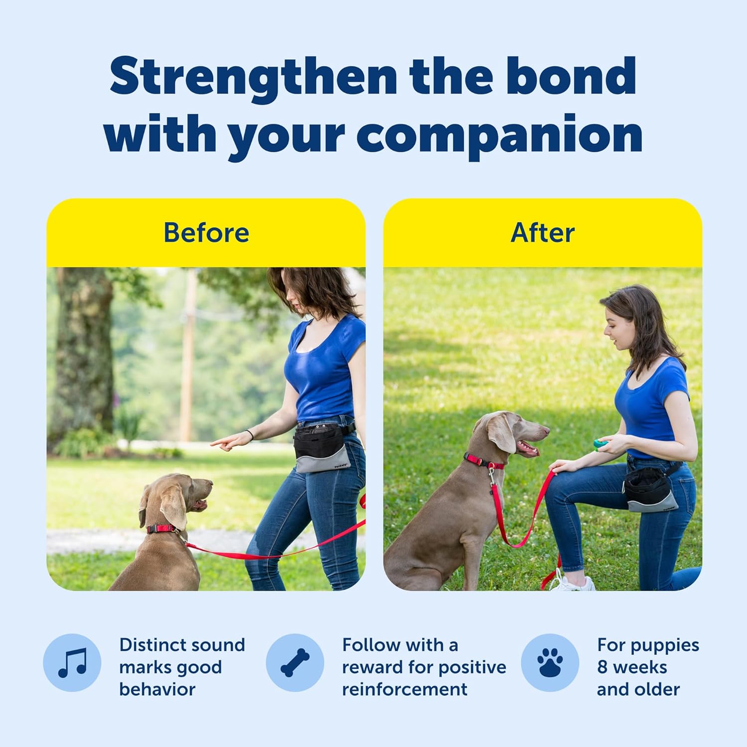 PetSafe Clik-R Training Tool - Positive Behavior Reinforcement - Ergonomic Design - Compact Finger Band - Daily Training Accessory - Clicker for Dogs & Cats - Teal - Image 3