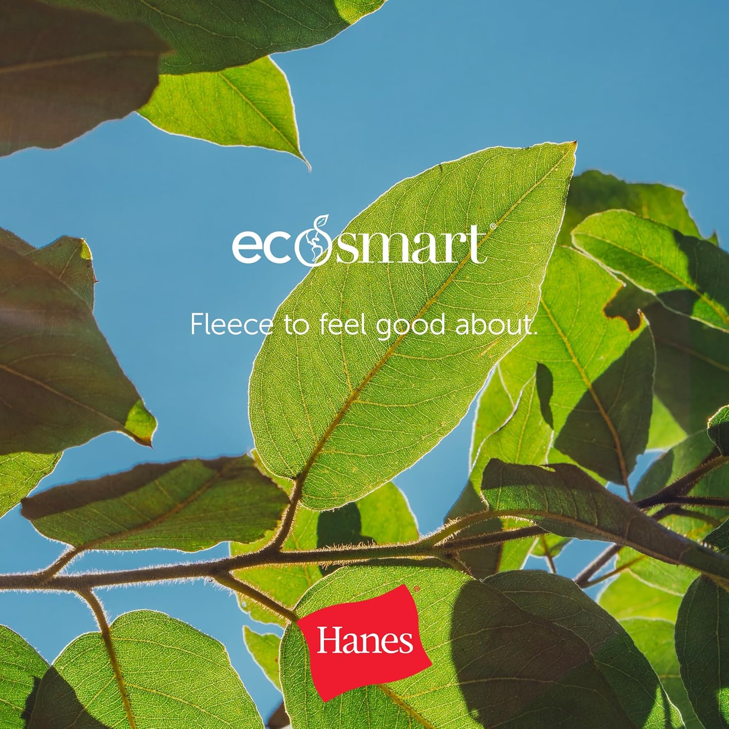 Hanes Men's Joggers, EcoSmart Fleece Sweatpants for Men, Men's Lounge Pants, 30.5" - Image 7