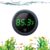 PAIZOO Fish Tank Digital Thermometer Accurate LED Display to ±0.9°F Tank Thermometer Aquarium Temperature Measurement Suitable for Fish, Axolotl, Turtle or Aquatic